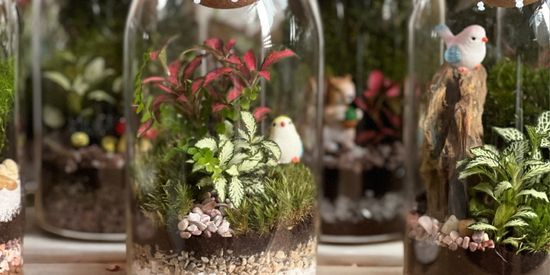 SALE Zen Concrete Handmade Moss Bowl Terrarium Centerpiece  Terrarium  centerpiece, Miniature garden, Succulent terrarium