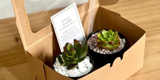 Happy Secretary Day - 22 Apr | The Green Capsule