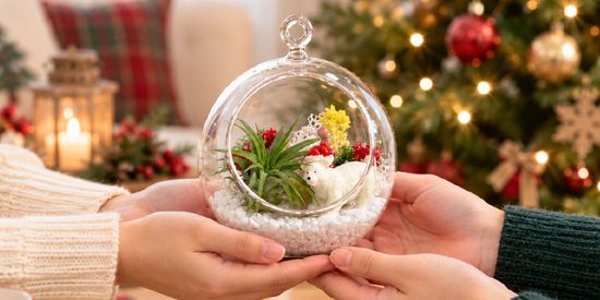 Christmas Gifts | The Green Capsule