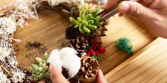 Christmas Workshops | The Green Capsule