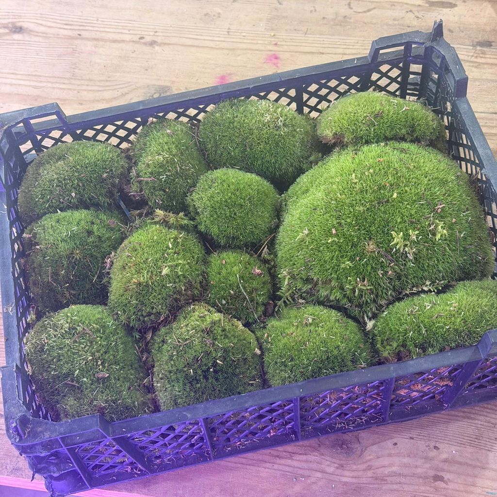 WhatsApp Image 2026-03-06 at 12.16.07 PM