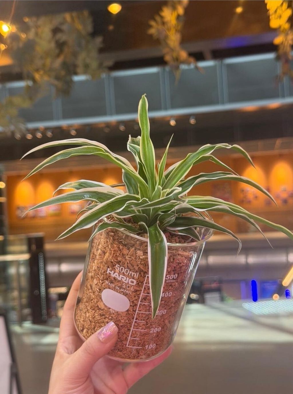 WhatsApp Image 2026-03-12 at 10.20.24 AM (1)