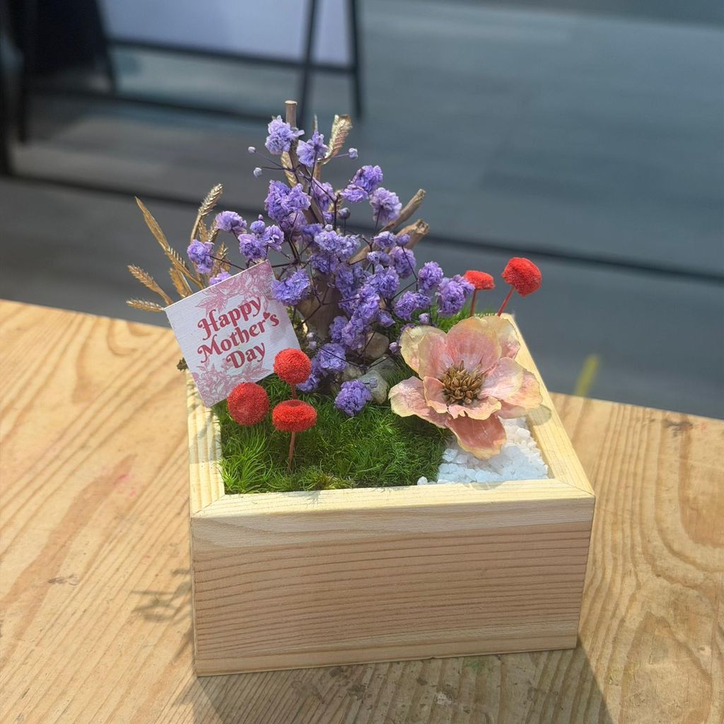 WhatsApp Image 2026-04-29 at 11.25.08 AM