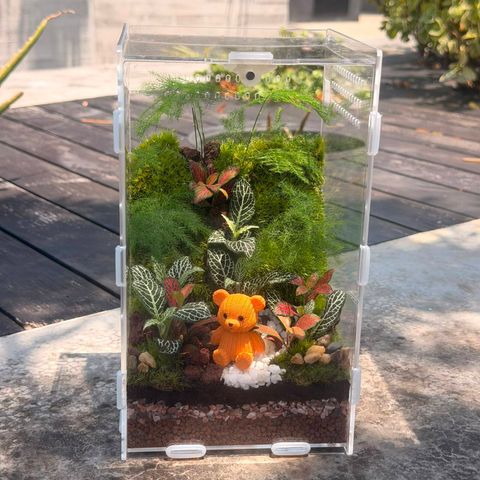 12*12*20cm = $70:$80