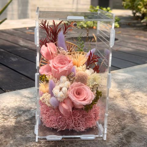 15*15*25cm = $100 (terrarium): $120 preserve flower