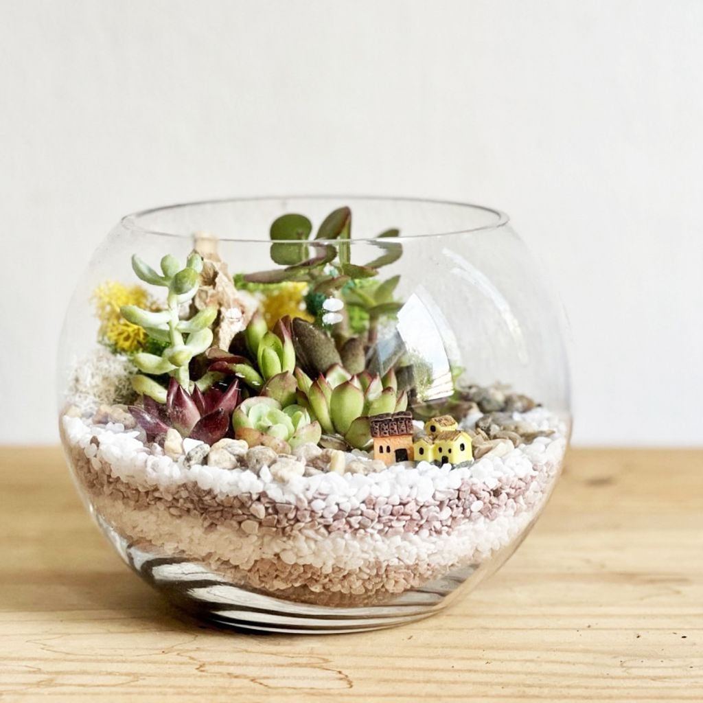 Terrarium 15cm