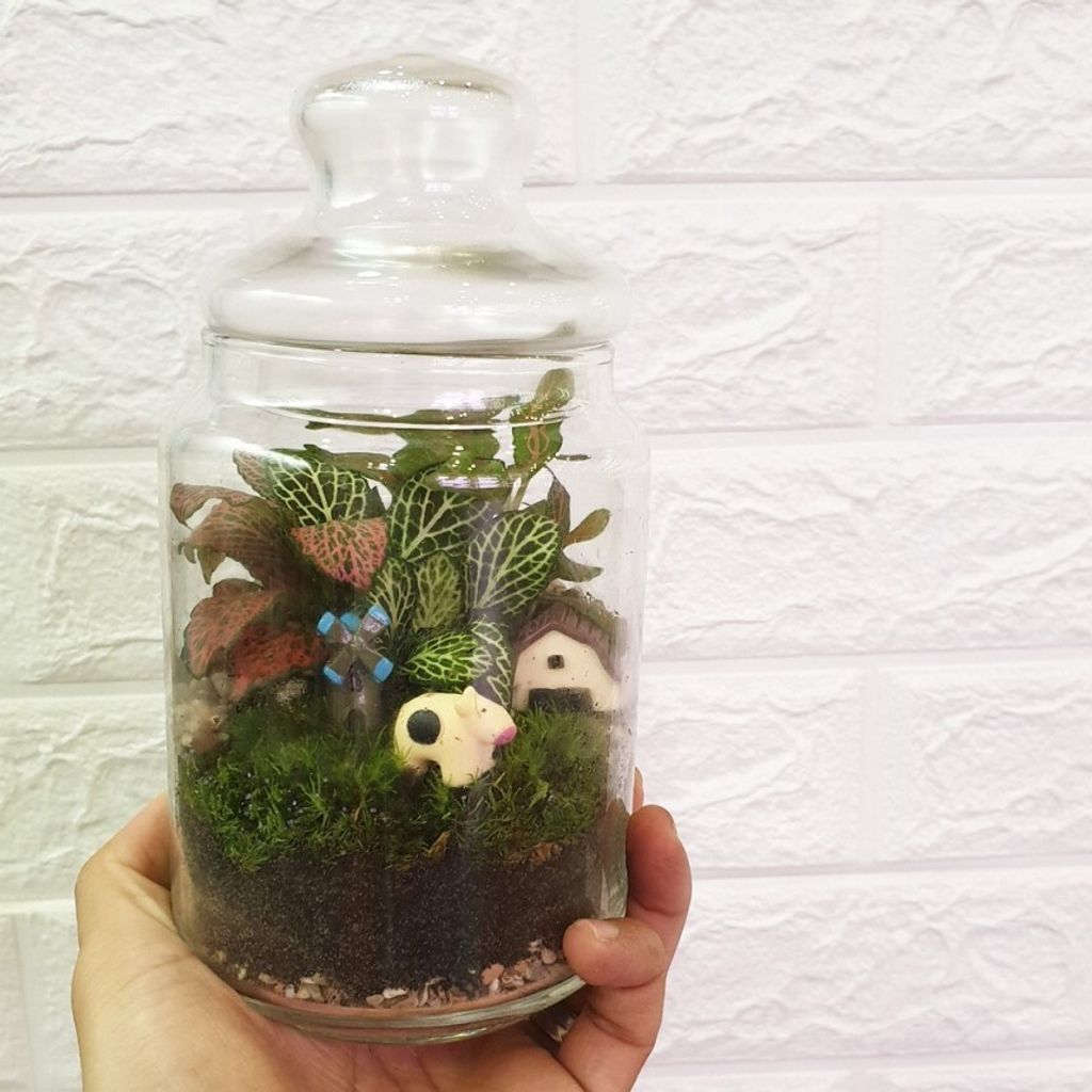 popjar-terrariumB