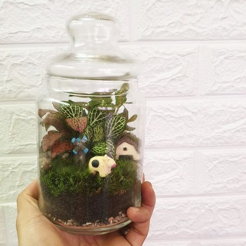 popjar-terrariumB