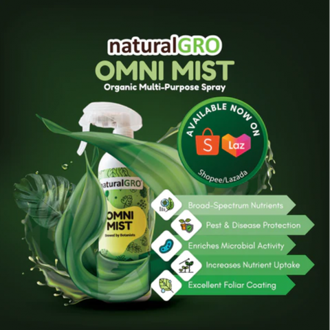 omni-mist (1)