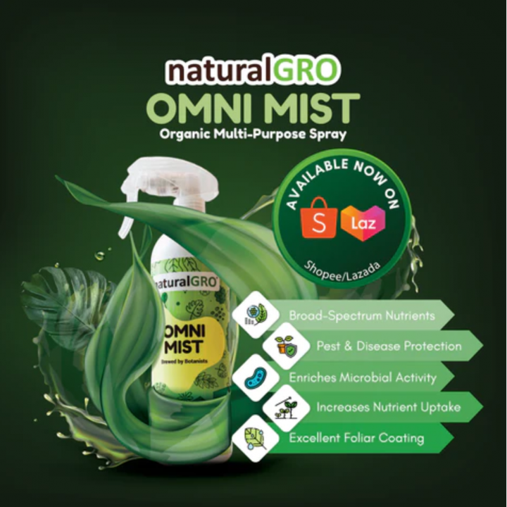 omni-mist (1)