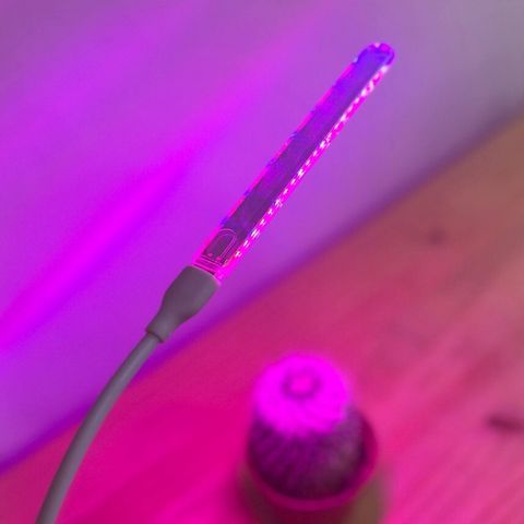 mini-growlight