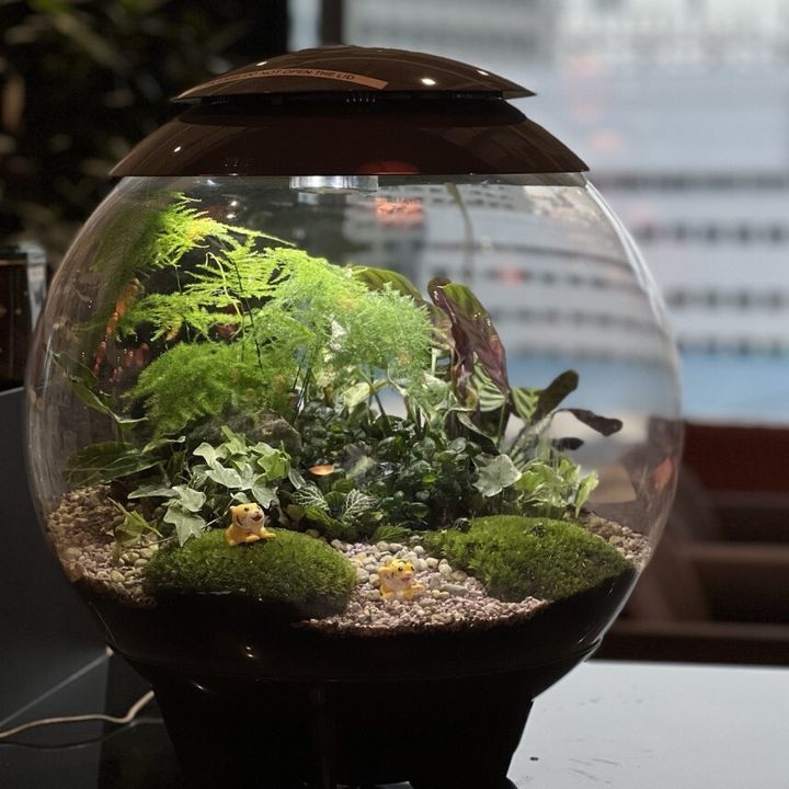 biorb (1)