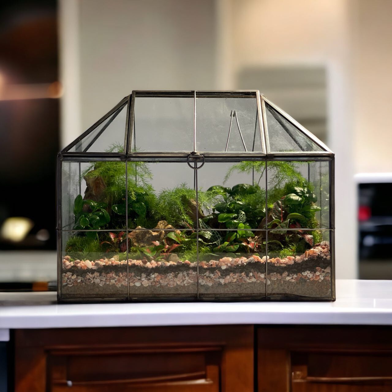 Terrarium Themes Explained - Closed Terrarium