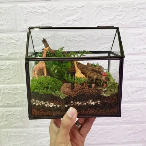 geometric-glass-house-terrarium (2)
