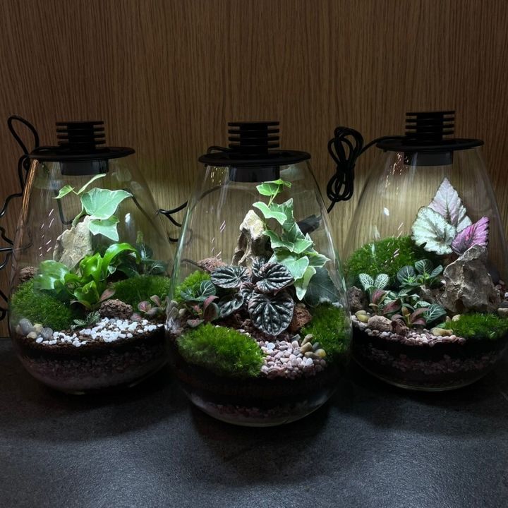 Terrarium-with-in-built-LED-Light
