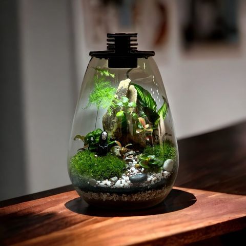 glass globe jar terrarium with led