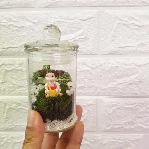 mini-terrarium