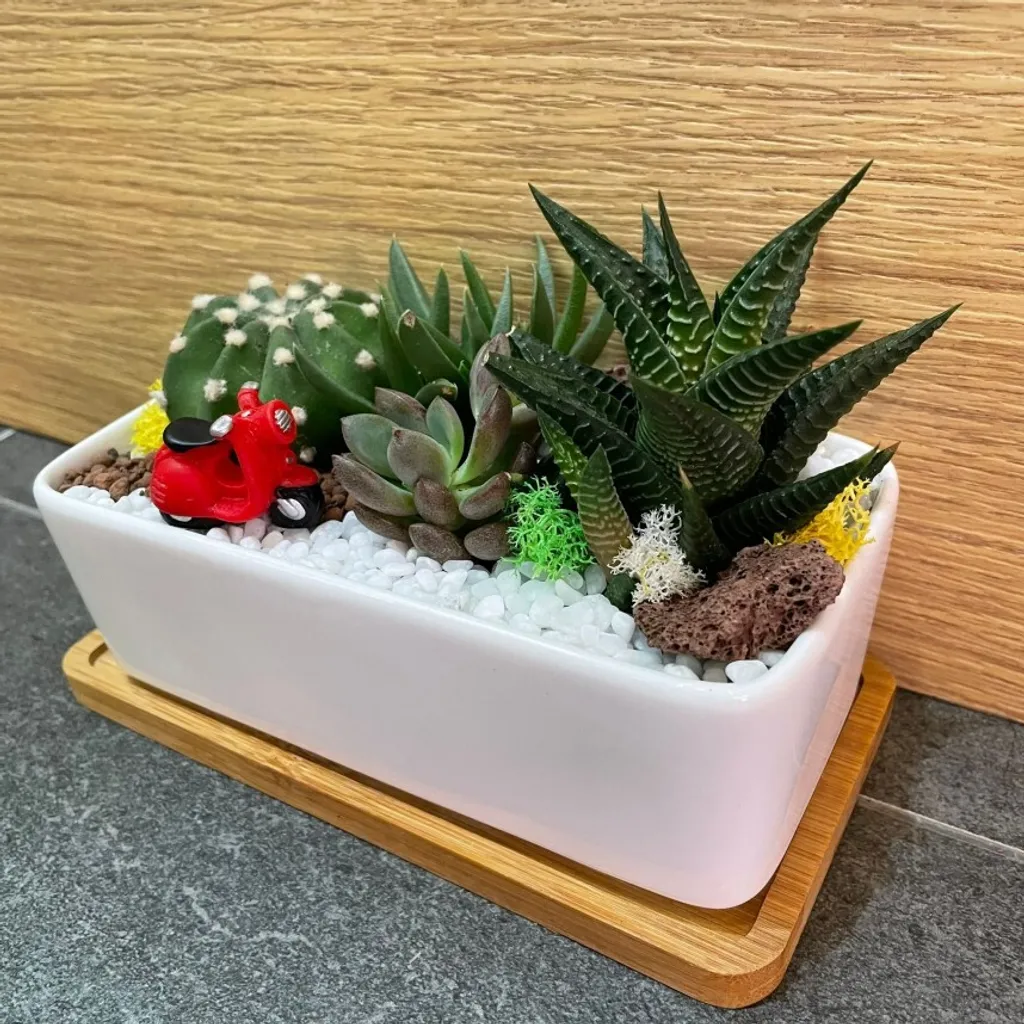 rectangular white-ceramic-pot-with-tray