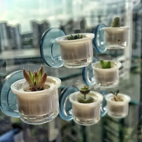 mini g 2