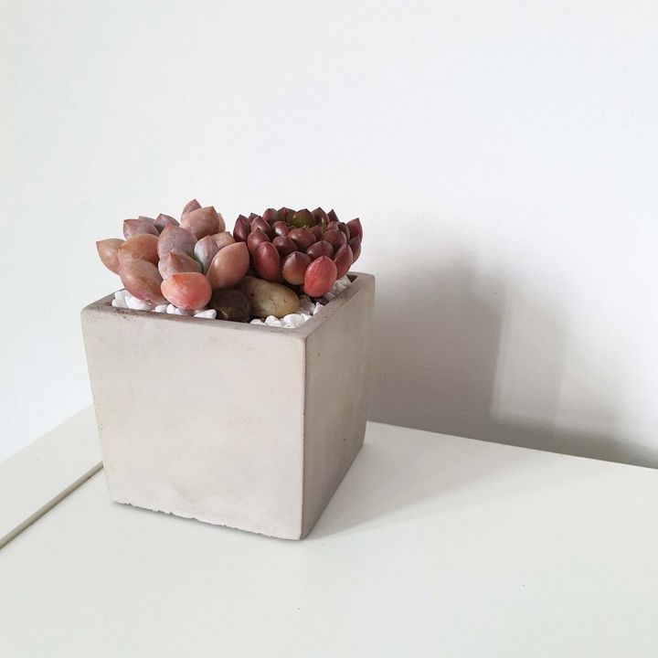 Concrete-pots-II (12)