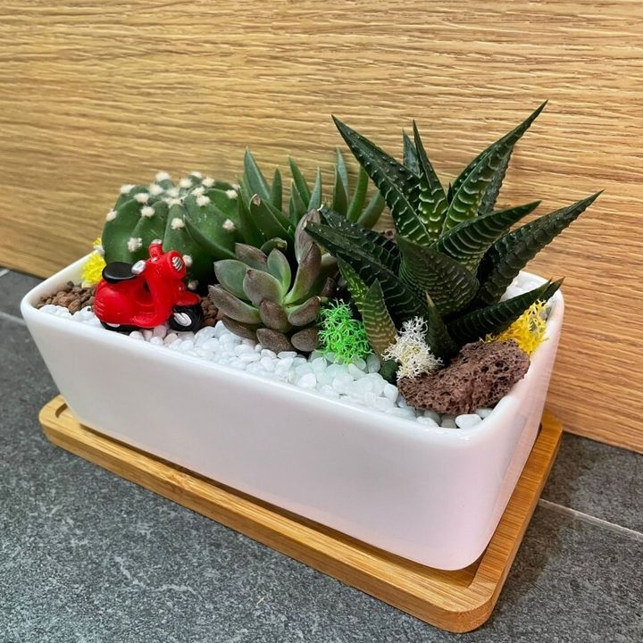 corporate-rectangle-ceramic-with-base