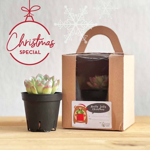 Christmas 22_Insta sq-01 (1)