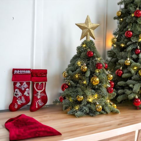 PhotoRoom_20231006_112958