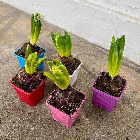 WhatsApp Image 2024-01-22 at 12.14.18 PM