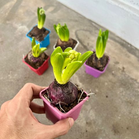 WhatsApp Image 2024-01-22 at 12.14.18 PM (1)