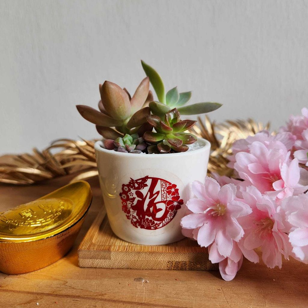 WhatsApp Image 2025-01-06 at 4.47.56 PM