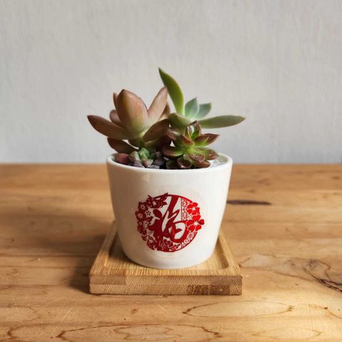 WhatsApp Image 2025-01-06 at 4.47.55 PM (2)