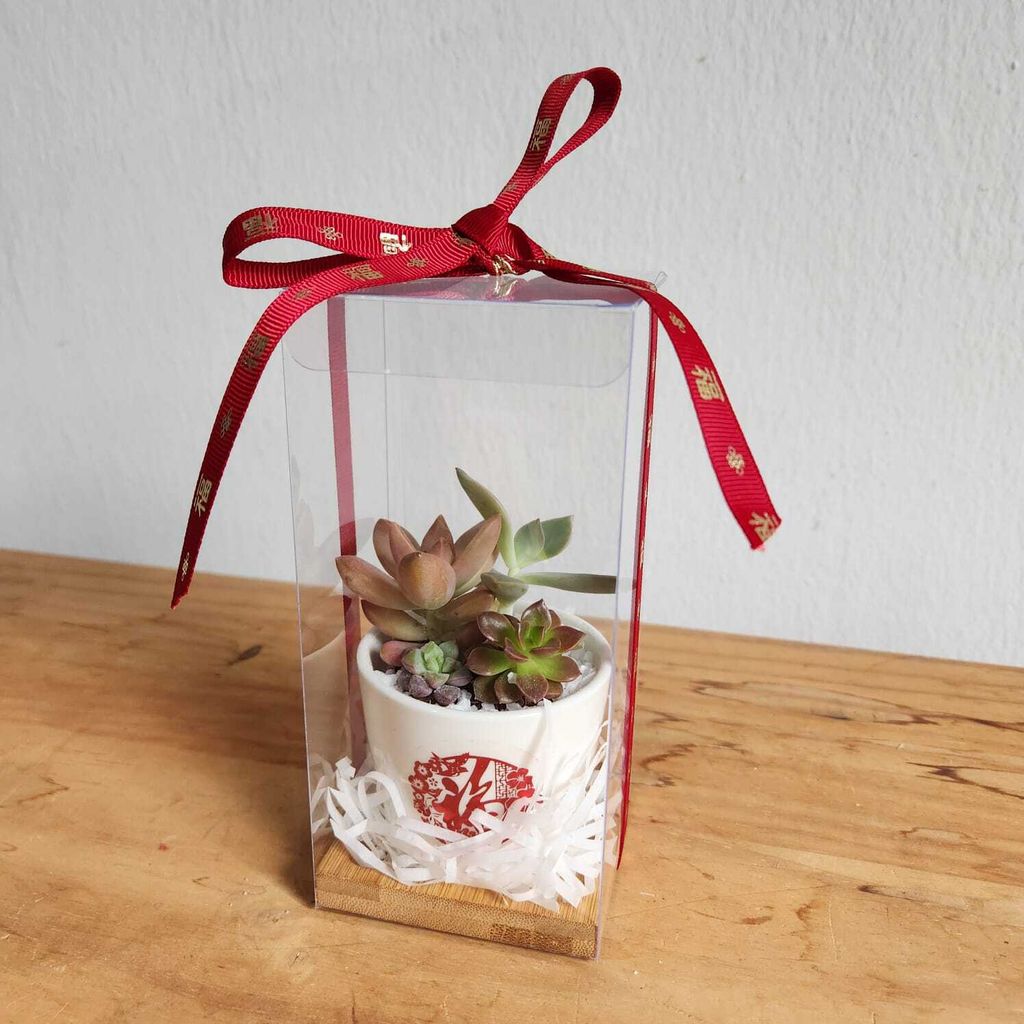 WhatsApp Image 2025-01-06 at 4.47.51 PM