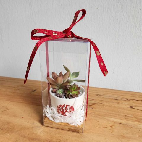 WhatsApp Image 2025-01-06 at 4.47.51 PM