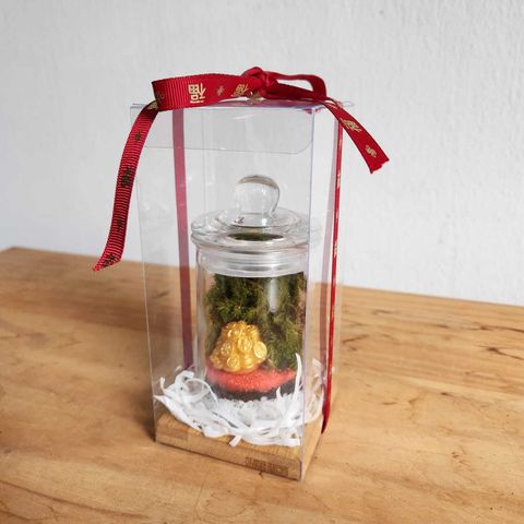 WhatsApp Image 2025-01-06 at 4.47.52 PM