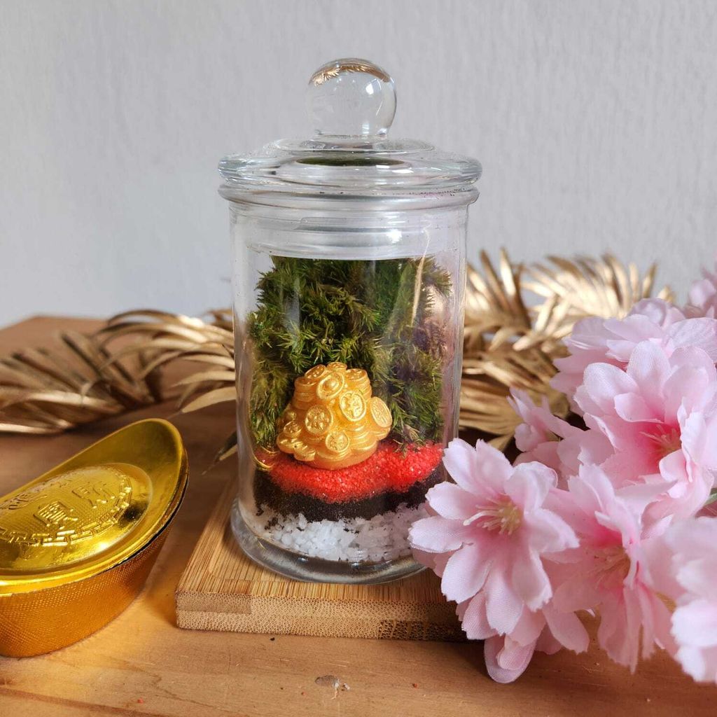 WhatsApp Image 2025-01-06 at 4.47.58 PM (2)