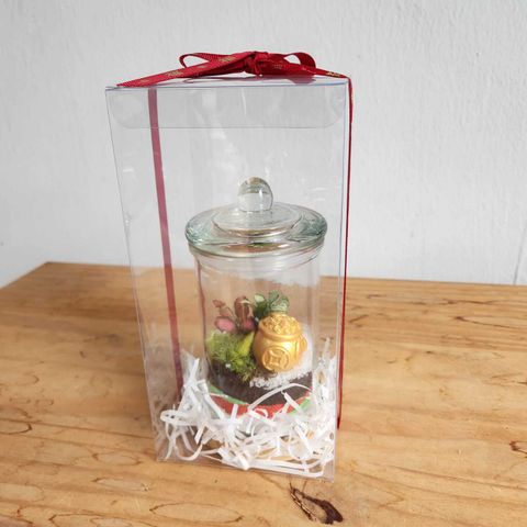 WhatsApp Image 2025-01-06 at 4.47.53 PM