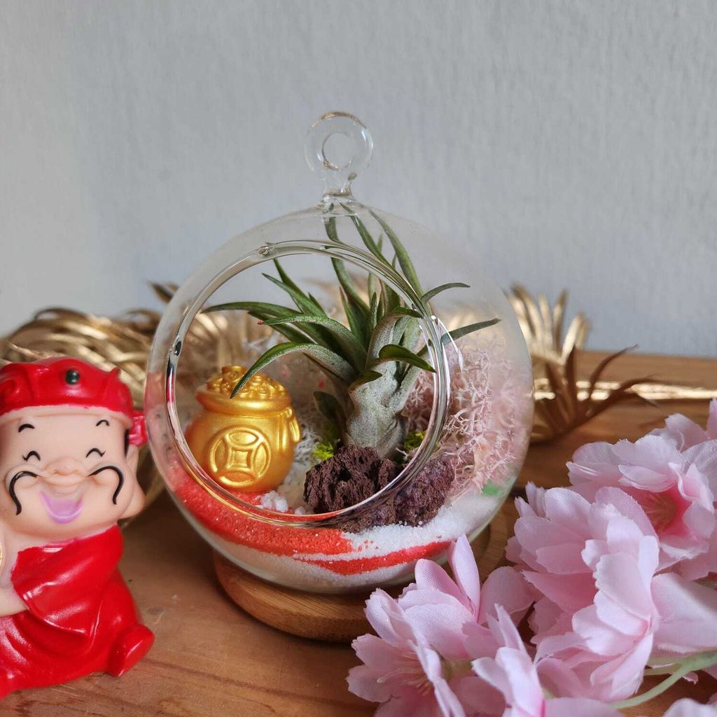 WhatsApp Image 2025-01-06 at 4.47.54 PM (2)