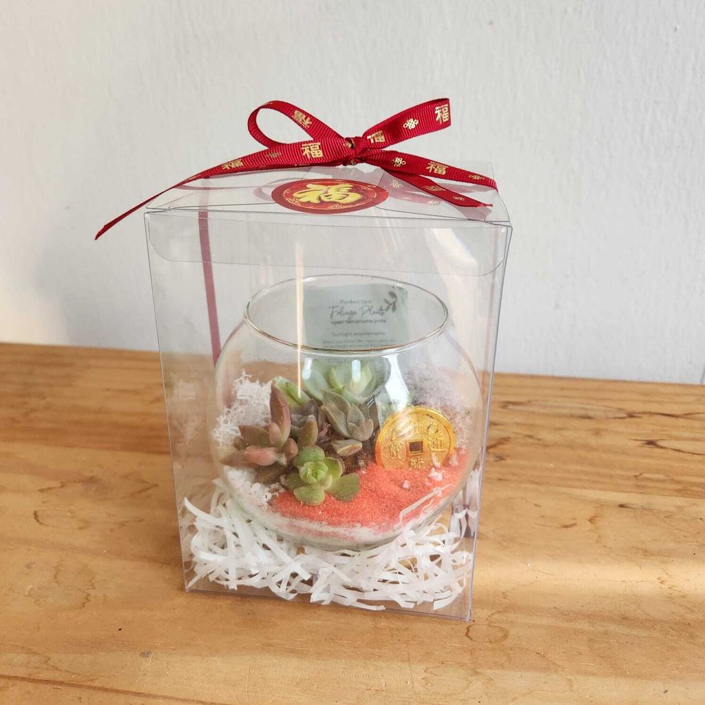 WhatsApp Image 2025-01-06 at 4.47.53 PM (1)