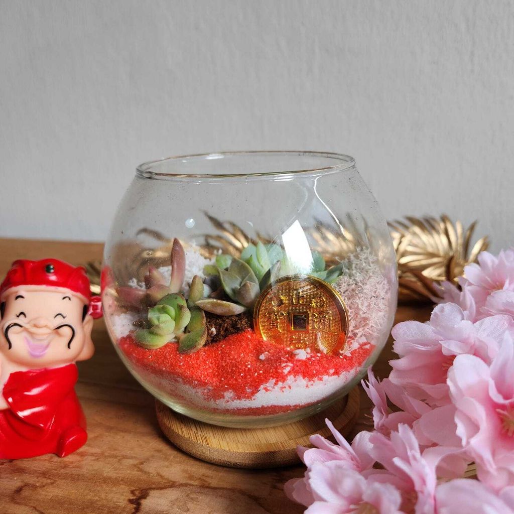 WhatsApp Image 2025-01-06 at 4.47.57 PM (1)