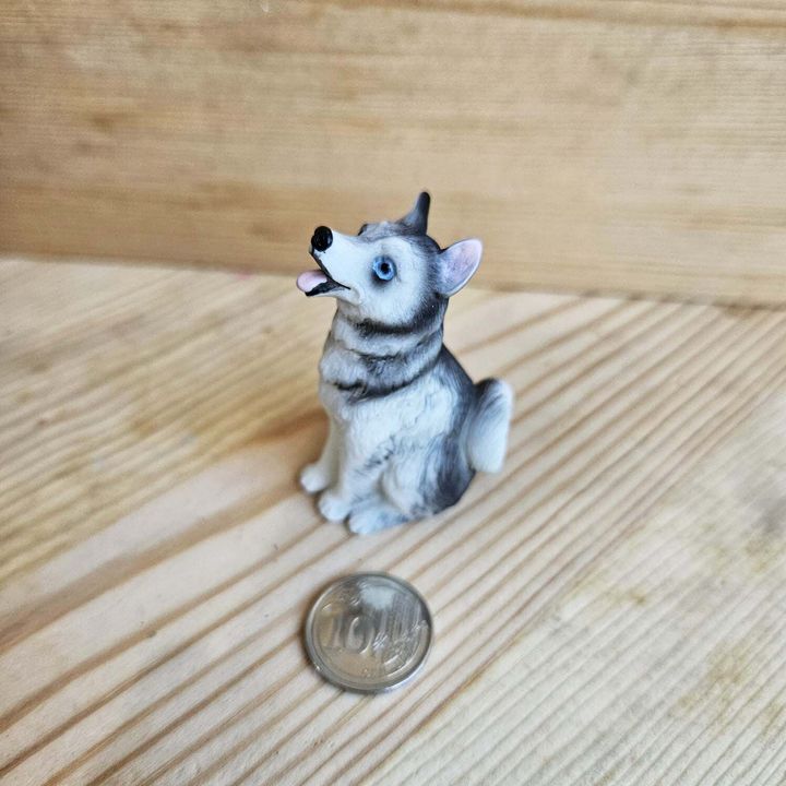 GC Dog A