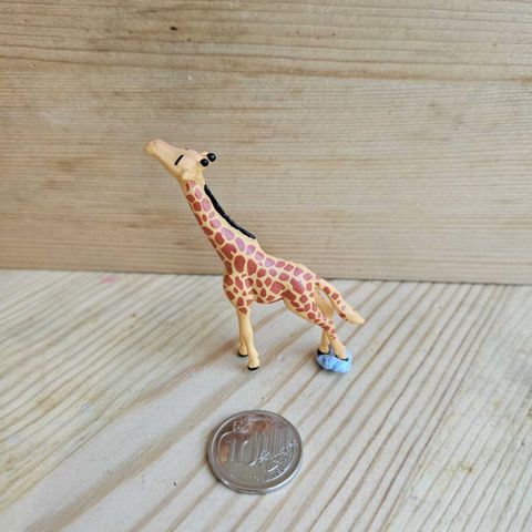 GC Giraffe