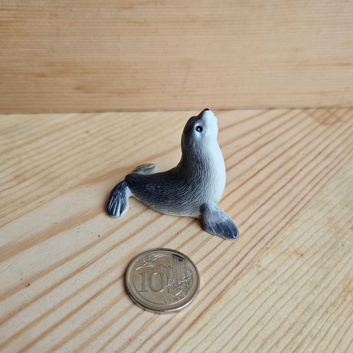 GC Sea Lion