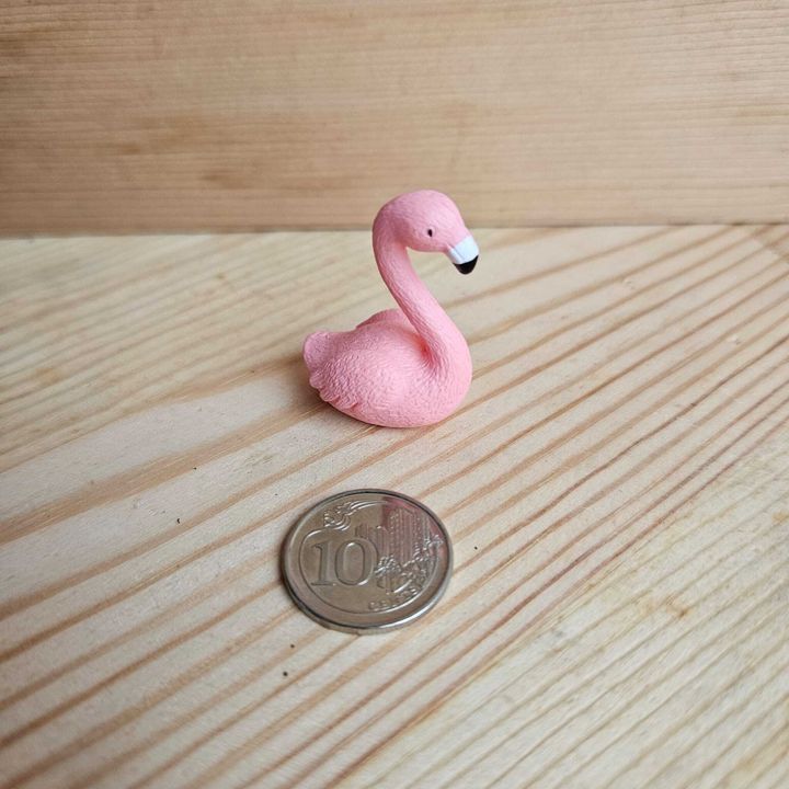 GC Flamingo