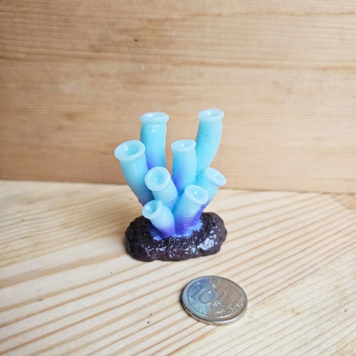 GC Coral