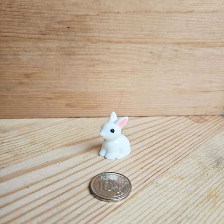 GC Rabbits C