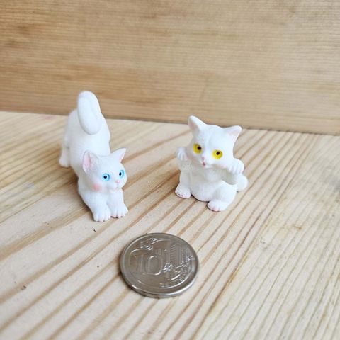 GC Cats