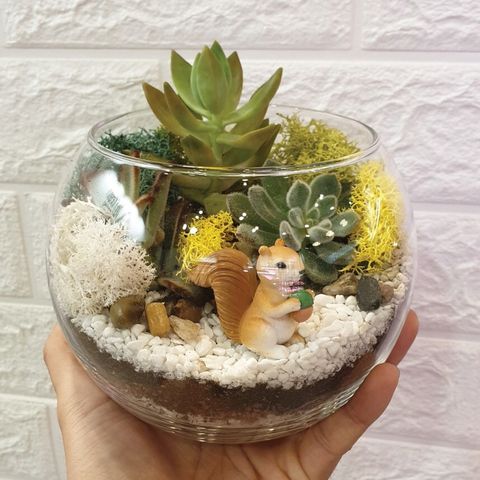 Terrarium 12cm