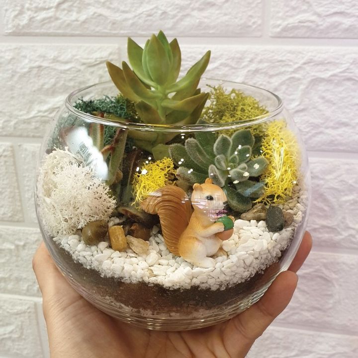 Terrarium 12cm