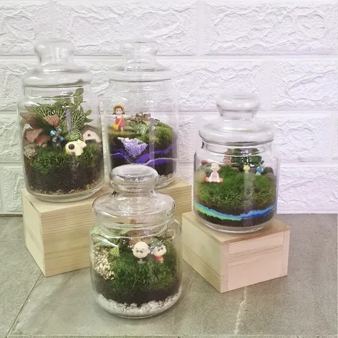 popjar-terrarium