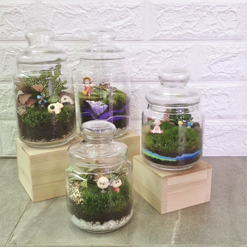 popjar-terrarium